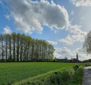 De Neuville en Ferrain à Halluin par la campagne - Neuville-en-Ferrain - 3
