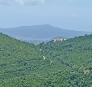 Tour autour de la domaine de la bergerie - Roquebrune-sur-Argens - 3