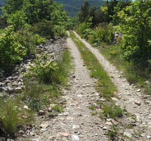 Boucle du camping à Saint Maurice d'Ibie - Saint-Maurice-d'Ibie - 5