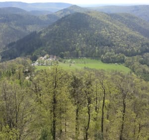 Sentier des 4 ruines. Loewenstein Hohenbourg Wegelnburg Flec - Lembach - 3