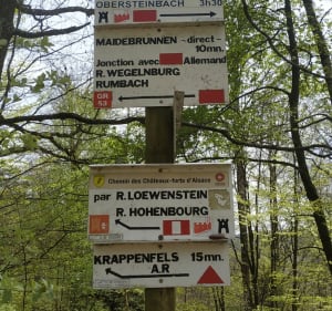 Sentier des 4 ruines. Loewenstein Hohenbourg Wegelnburg Flec - Lembach - 4