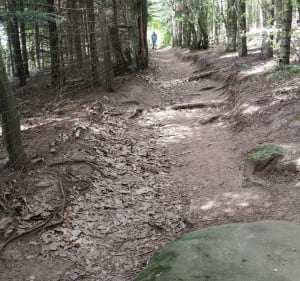 Sentier des 4 ruines. Loewenstein Hohenbourg Wegelnburg Flec - Lembach - 5