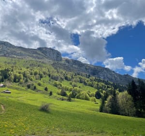 Randonnée Golet de Doucy et le Col de la Bornette - Bellecombe-en-Bauges - 5