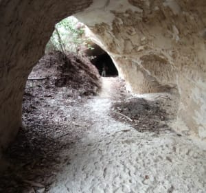Rando a Piolenc - Piolenc - 5