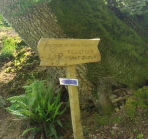 Boucle de Trébrivan - Trébrivan - 4