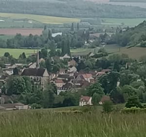 Balade dans les vignes à Essômes-sur-Marne - Essômes-sur-Marne - 3