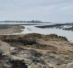 Découverte de la presqu'île de Pénestin - Gilbert - 4