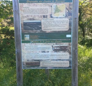 Domaine de Fierbois à Labennes - Capbreton - 4