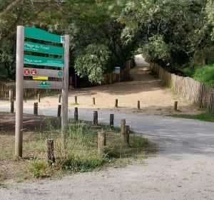 Plages du Treuil et de Vertbois puis forêt - Dolus-d'Oléron - 3