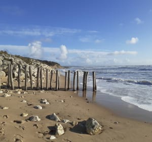 Plages du Treuil et de Vertbois puis forêt - Dolus-d'Oléron - 4