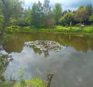 Rando autour de Saint-Gence - Saint-Gence - 3