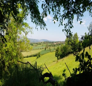 Tour de Sigy-le-Châtel - Sigy-le-Châtel - 3