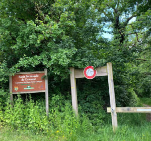 Balade avec vu sur Nuits-Saint-Georges - Nuits-Saint-Georges - 3