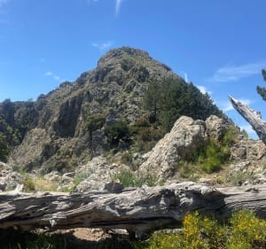 Punta sant Eliseo - Vero - 4