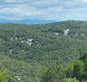 Grosse boucle autour de Montarnaud - Montarnaud - 3