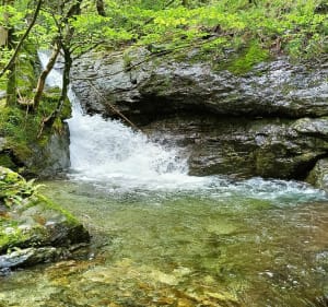 Randonnée familiale depuis le col de Banette - Ventalon en Cévennes - 4
