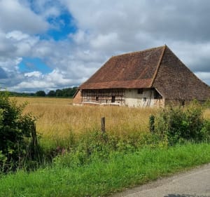 La Racineuse : étangs  bois et bourg - La Racineuse - 4