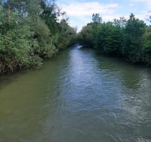 Autour du canal de Bourgogne - Dijon - 3