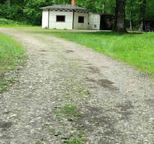 Sortie en Forêt de Pimont - Dampierre-Saint-Nicolas - 4