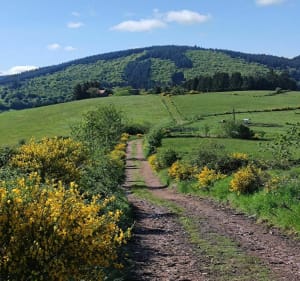 Marche à Saint-André-d'Apchon, par Arcon - Saint-André-d'Apchon - 2