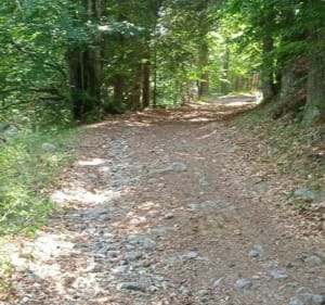 Boucle de Bramabiau au col des Ubertes - Saint-Sauveur-Camprieu - 3
