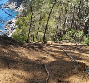 Tossa de Mar y el Cami de Ronda - Tossa de Mar - 3