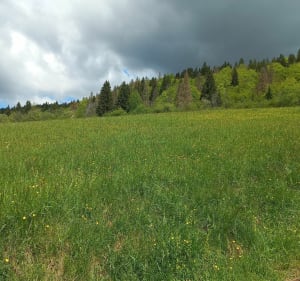 Autour de Charix - Charix - 4