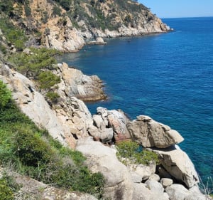 Tossa de Mar y el Cami de Ronda - Tossa de Mar - 5