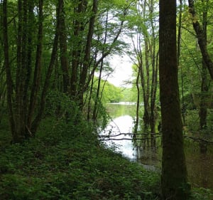 Balade jusqu'au barrage du Pont du Roi - Auxy - 4