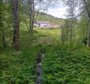 Vers la route de Belfays - Saint-Stail - 4
