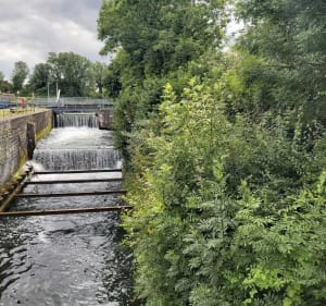 Balade zen le long du canal de la Scarpe - Vitry-en-Artois - 5