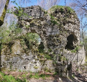 Sacré point de vue en forêt de Saou - Piégros-la-Clastre - 3
