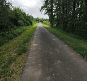 Sur les rives de la Creuse à Fontgombault - Fontgombault - 4
