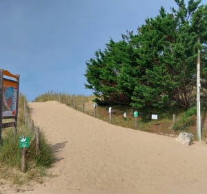 Saint Pierre d'Oléron entre océan et marais - Dolus-d'Oléron - 3