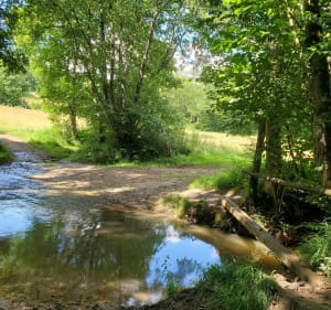 Vaux et autour de Prouver, 70% chemin - Vaux-en-Bugey - 3