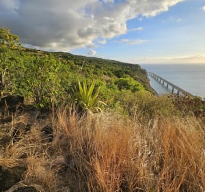 La Montagne,  route du littoral - Saint-Denis - 3