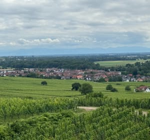 Balade le long du canal depuis Bischheime - Bischheim - 4