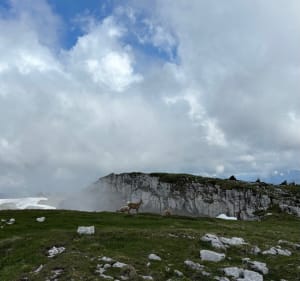 Sous-Dine en boucle par le passage du Monthieux - JULIEN - 5