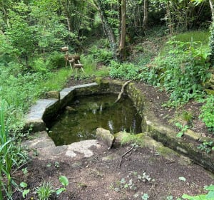 Autour du ruisseau de Matz - Caden - 4