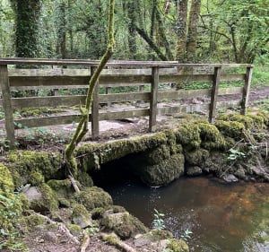 Autour du ruisseau de Matz - Caden - 5