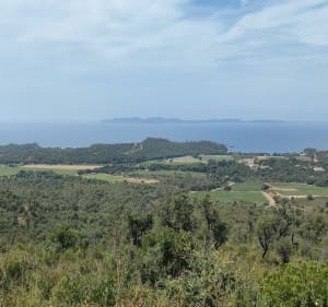 Autour du barrage de Trapan - Bormes-les-Mimosas - 4
