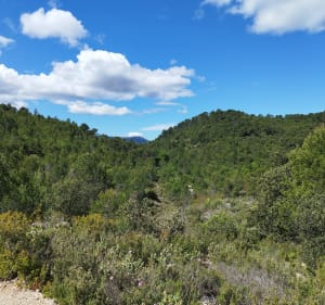 Sources de l'Huveaune - Nans-les-Pins - 4