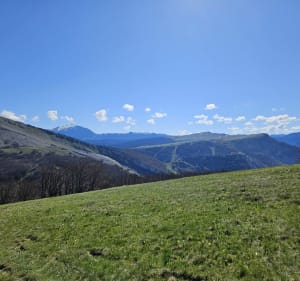 Boucle - Col du Rousset à la But de l'Aiglette - Chamaloc - 5
