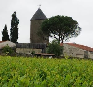 De Pont-Caffino à Monnières et Maisdon s/Sèvre - Château-Thébaud - 3