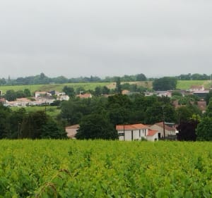 De Pont-Caffino à Monnières et Maisdon s/Sèvre - Château-Thébaud - 4