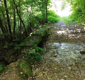 Source chaude à Vecoux - Dommartin-lès-Remiremont - 3