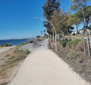 Marche à Hyères - Hyères - 3