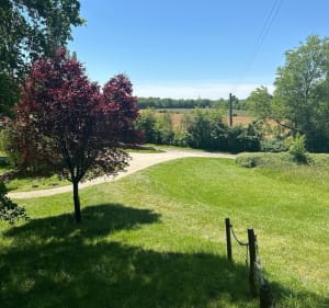 Petite promenade dans les bois à Saint-Arailles - Saint-Arailles - 4