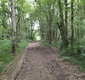 Boucle de la Vallée de la Conne de Labardee - Conne-de-Labarde - 3