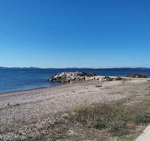 Marche à Hyères - Hyères - 5